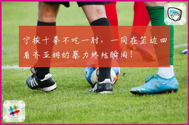 宁挨十拳不吃一肘，一同在笼边回看齐亚姆的暴力终结瞬间！