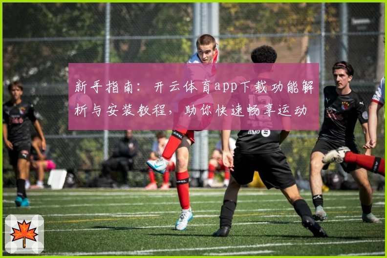 新手指南:开云体育app下载功能解析与安装教程,助你快速畅享运动魅力